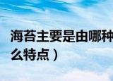 海苔主要是由哪种海藻制作而成的（海苔有什么特点）
