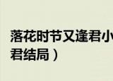 落花时节又逢君小说讲了什么（落花时节又逢君结局）