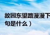 故园东望路漫漫下一句（故园东望路漫漫下一句是什么）