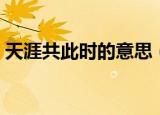 天涯共此时的意思（天涯共此时的意思简述）