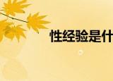 性经验是什么意思（性经验）