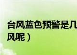 台风蓝色预警是几级风（台风蓝色预警是几级风呢）