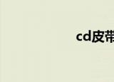 cd皮带（cdp指标）
