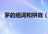 茅的组词和拼音（茅的组词和拼音是什么）
