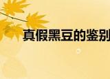 真假黑豆的鉴别方法（如何辨别黑豆）