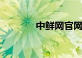中鲜网官网（鲜网简体首页）
