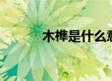 木榫是什么意思（木榫的介绍）