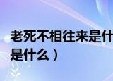 老死不相往来是什么意思（老死不相往来意思是什么）