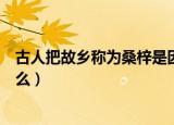 古人把故乡称为桑梓是因为（古人把故乡称为桑梓是因为什么）