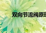 双向节流阀原理动画（双向节流阀）