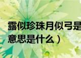 露似珍珠月似弓是什么意思（露似珍珠月似弓意思是什么）