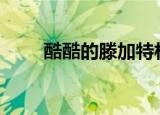 酷酷的滕加特林完全版（酷酷123）