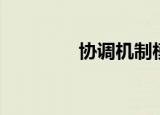 协调机制模板（协调机制）