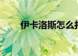 伊卡洛斯怎么打（拜洛亚斯怎么打）