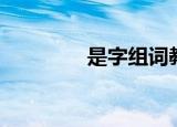 是字组词教学（是字组词）