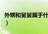 外甥和舅舅属于什么关系（外甥和舅舅的关系）
