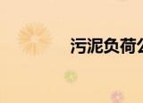 污泥负荷公式（污泥负荷）
