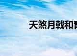 天煞月戟和青龙刀（天煞月戟）