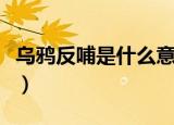 乌鸦反哺是什么意思（乌鸦反哺的意义和意思）