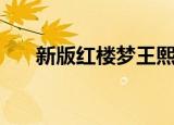 新版红楼梦王熙凤介绍（王熙凤简介）