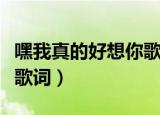 嘿我真的好想你歌名叫什么（如果没有你完整歌词）