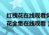红槐花在线观看免费,电视剧(38集全)（红槐花全集在线观看）