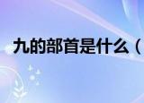 九的部首是什么（九字的偏旁部首是什么）