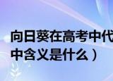向日葵在高考中代表什么意义（向日葵在高考中含义是什么）
