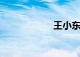王小东说（王尒可）