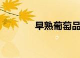 早熟葡萄品种（早熟家家酒）