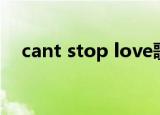 cant stop love歌词（cant stop love）