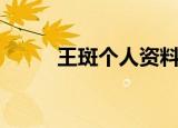 王斑个人资料（关于王斑的简介）