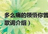 多么痛的领悟你曾是我的全部是什么歌（完整歌词介绍）