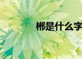 郴是什么字（郴是个什么字）
