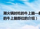 涮火锅时吃的牛上脑—般是指牛什么部位的肉（涮火锅时吃的牛上脑部位的介绍）