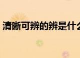 清晰可辨的辨是什么意思（清晰可辨的含义）