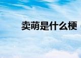 卖萌是什么梗（网络语卖萌的意思）