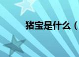 猪宝是什么（猪宝是什么样子的）
