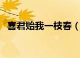 喜君贻我一枝春（喜君贻我一枝春的出处）