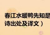 春江水暖鸭先知是哪首诗（春江水暖鸭先知全诗出处及译文）