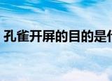 孔雀开屏的目的是什么（孔雀开屏的目的是）