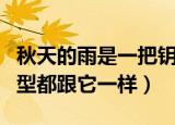 秋天的雨是一把钥匙仿写句子（这些句子的句型都跟它一样）