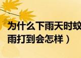 为什么下雨天时蚊子不会被雨滴砸死（蚊子被雨打到会怎样）