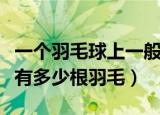 一个羽毛球上一般有几只羽毛（标准的羽毛球有多少根羽毛）