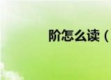 阶怎么读（阶的组词有哪些）
