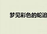 梦见彩色的蛇追自己（梦见彩色的蛇）