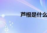 芦根是什么（芦根详细介绍）