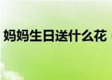 妈妈生日送什么花（妈妈生日适合送什么花）