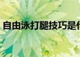 自由泳打腿技巧是什么（自由泳打腿的方法）