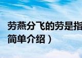 劳燕分飞的劳是指一种鸟还是蝴蝶（劳燕分飞简单介绍）